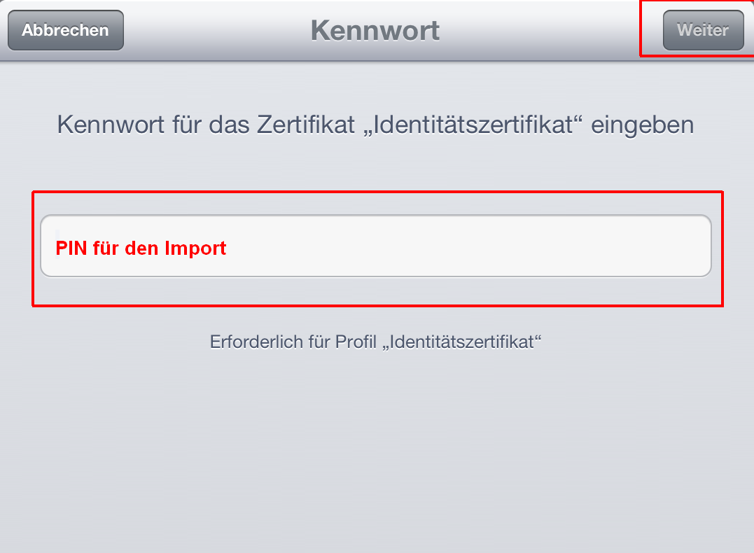 Pin für den Import eingeben